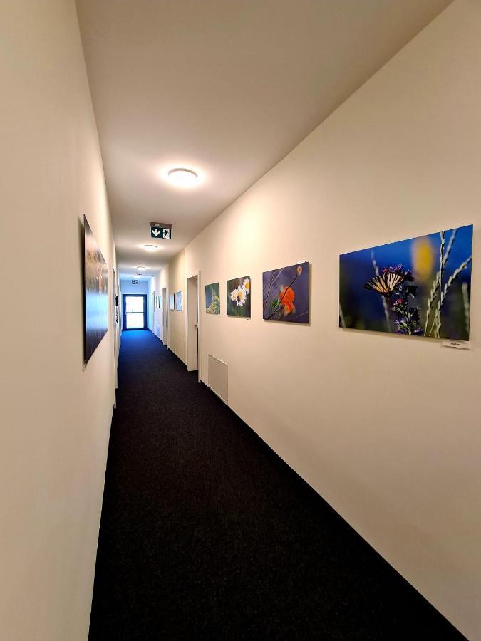 Hotel Roggen Erschmatt Eksteriør bilde